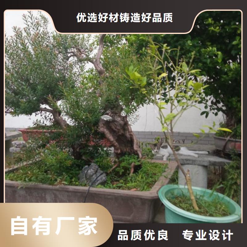 广元 河湖疏浚固化 广元沙土固化剂创造  