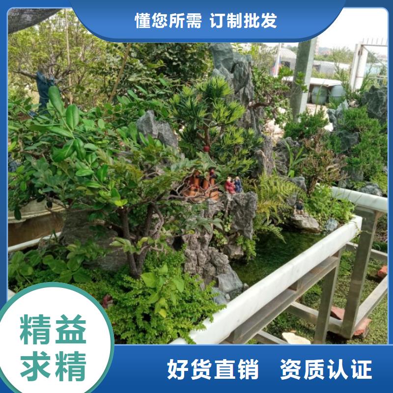 桂林 预拌流态固化土施工设备 桂林土壤固化剂生产厂家