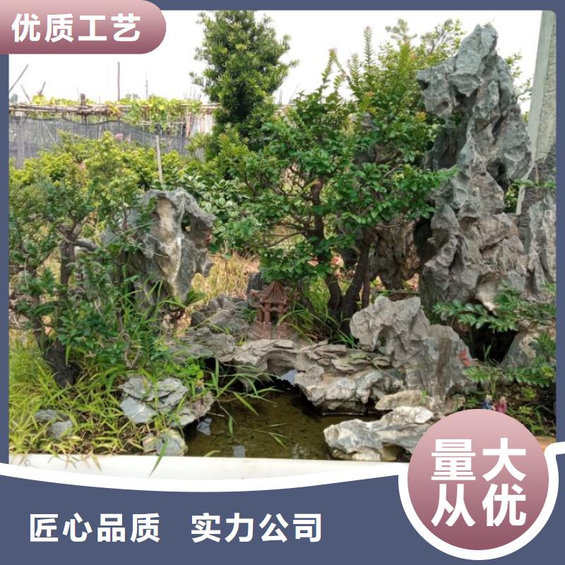 延边 污泥原位固化 延边沙漠固化剂欢迎来电