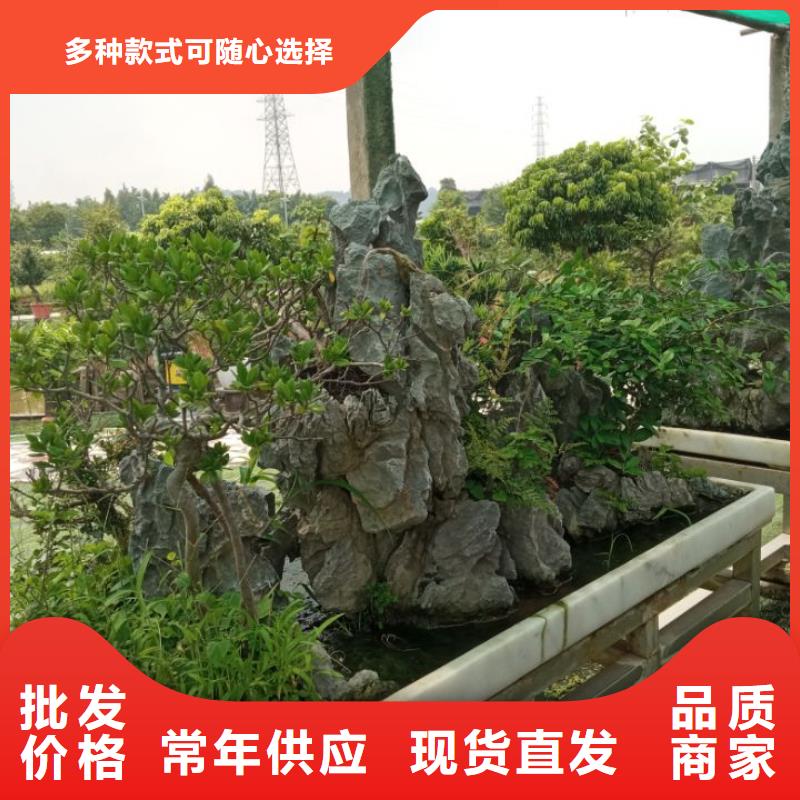 安庆 预拌流态固化土施工员 安庆土壤修复剂生产厂家