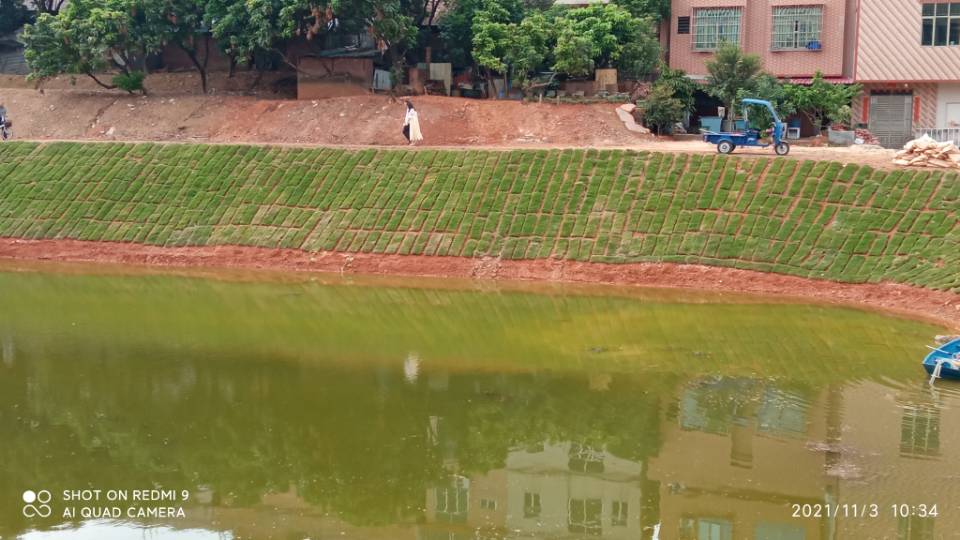 桂林 河道湖泊蓝藻控制 土壤改良修复   行情