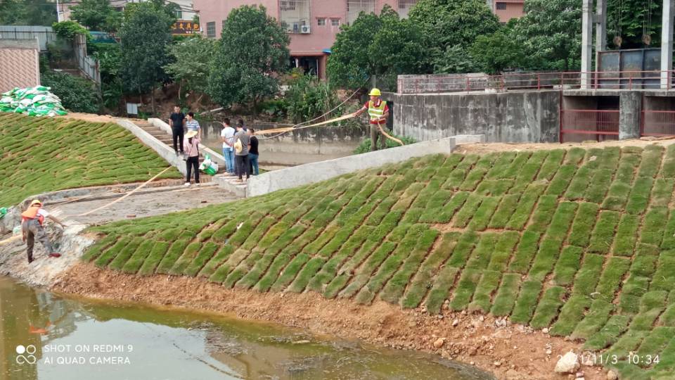 桂林 泳池水质处理 土壤改良修复 今日价格
