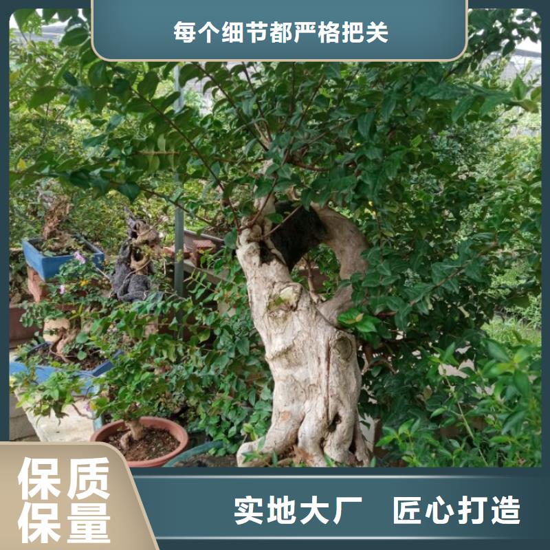 园林绿化种植土质量标准 陕西安园林绿化种植土质量标准发货及时