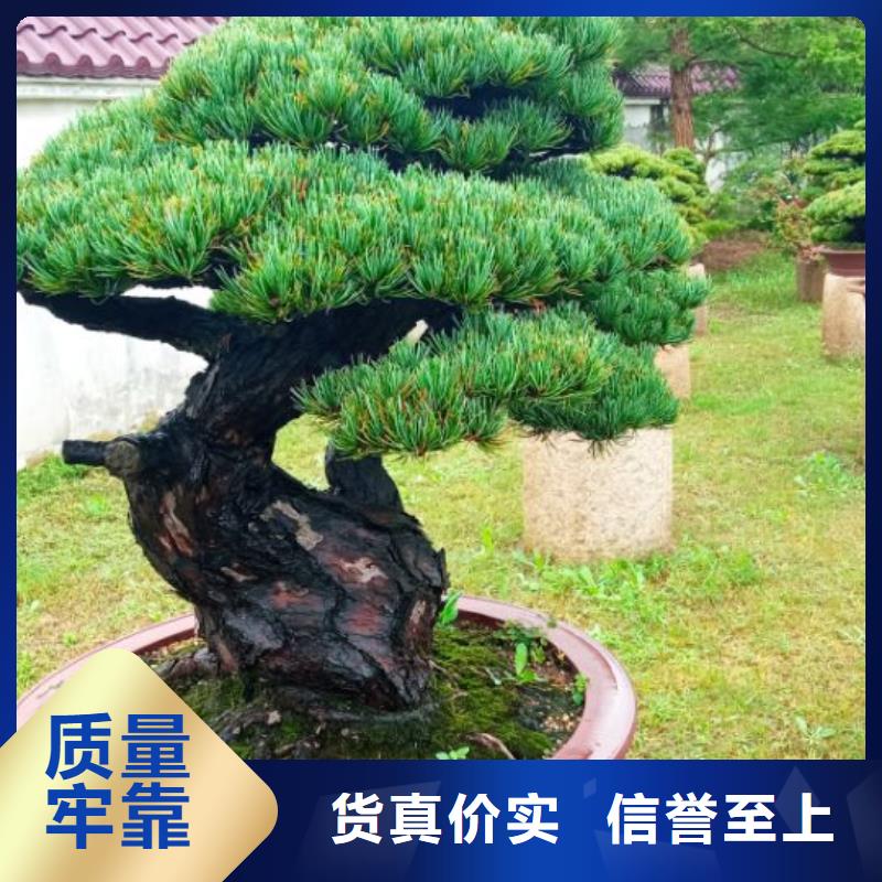 西安网架防腐喷漆维修儒亿建筑维修房屋修缮价格