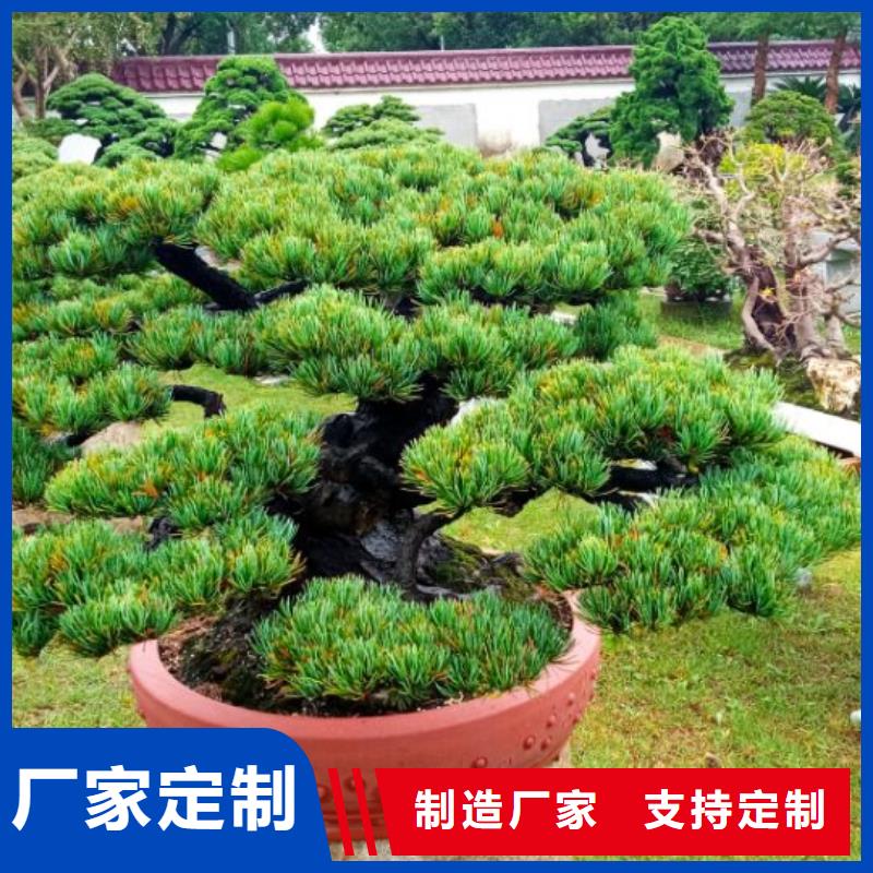 西安宾馆大厦外墙刷涂料儒亿建筑维修房屋修缮价格