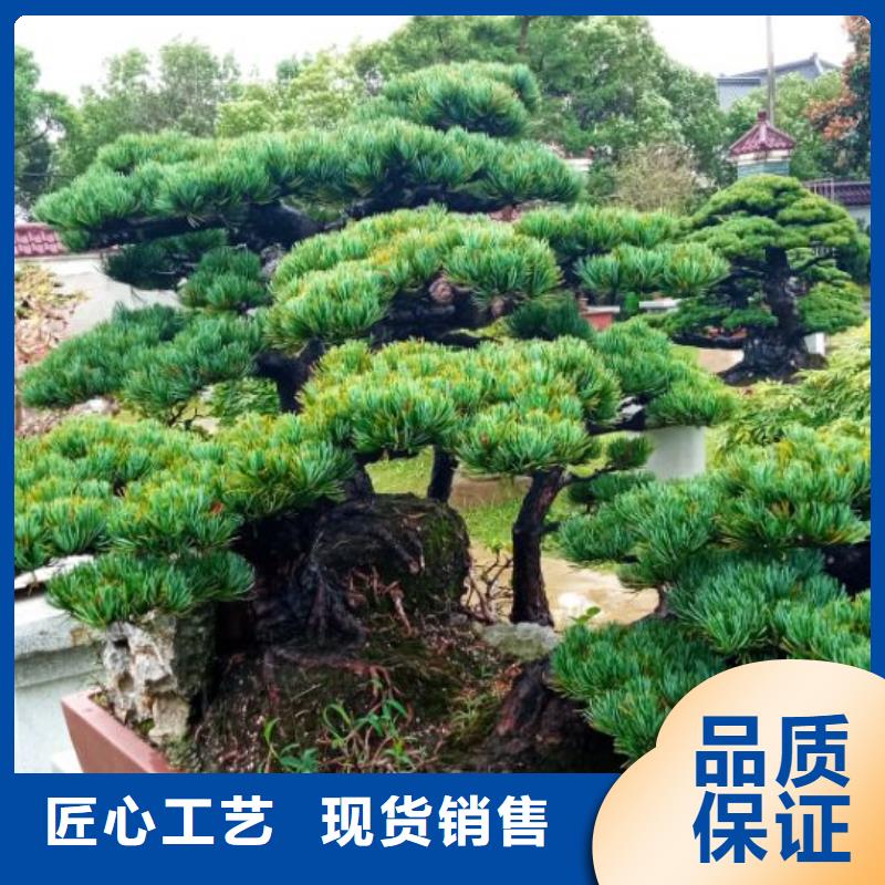 西安厂房车间刷涂料粉刷儒亿建筑维修房屋修缮价格