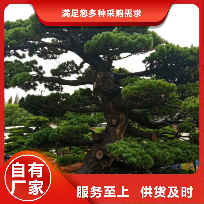 西安宾馆大厦外墙刷涂料儒亿建筑维修房屋修缮价格