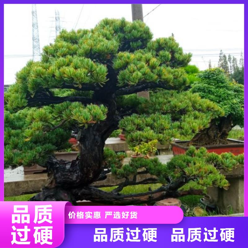 西安宾馆大厦外墙刷涂料儒亿建筑维修房屋修缮价格