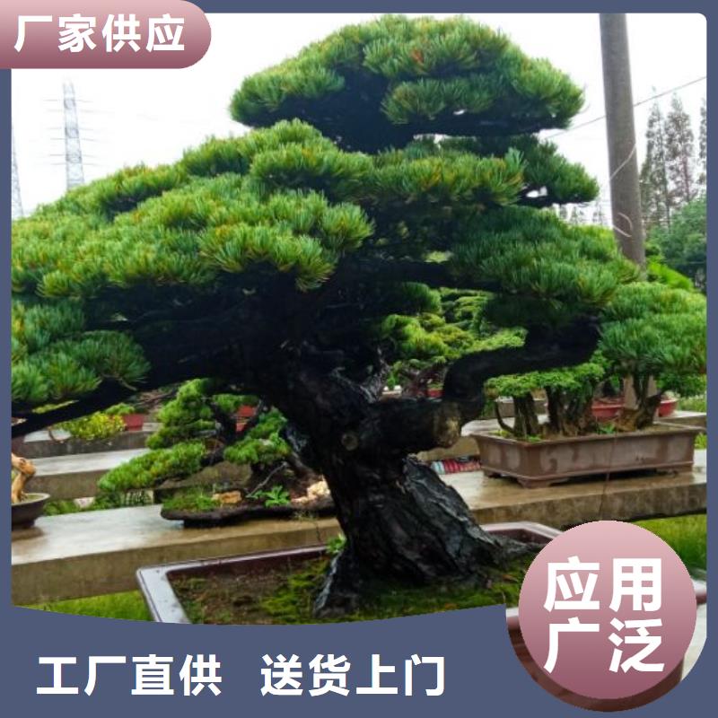 西安球形网架防腐维修儒亿建筑维修房屋修缮报价