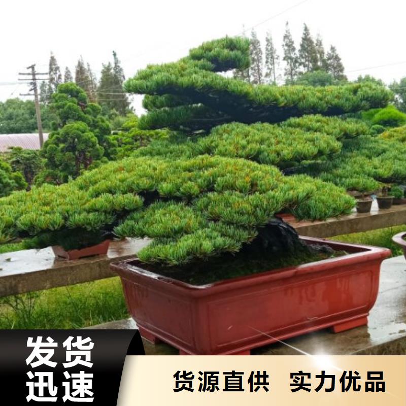 西安厂房车间刷涂料粉刷儒亿建筑维修房屋修缮报价