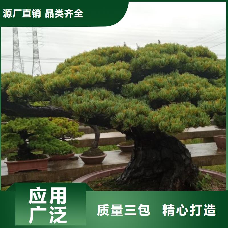 西安宾馆大厦外墙刷涂料儒亿建筑维修房屋修缮价格