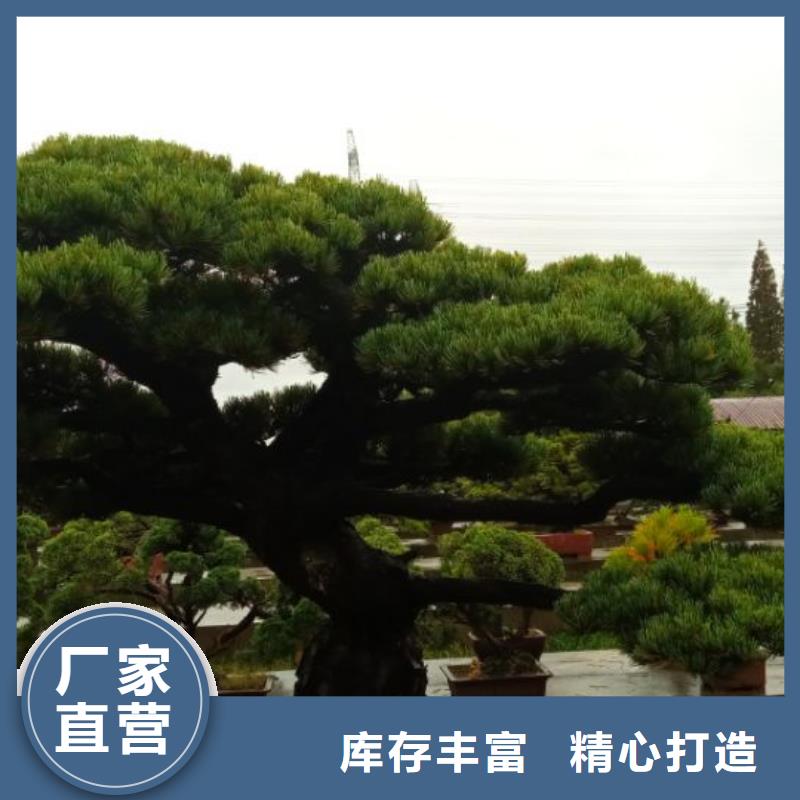 消防水池防水防腐一布三釉施工报价