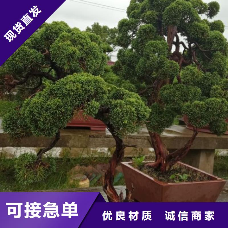 西安网架防腐喷漆维修儒亿建筑维修房屋修缮报价