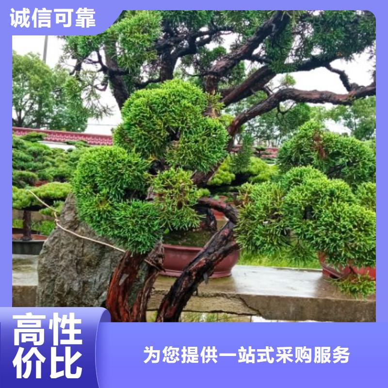 西安宾馆大厦外墙刷涂料儒亿建筑维修房屋修缮价格