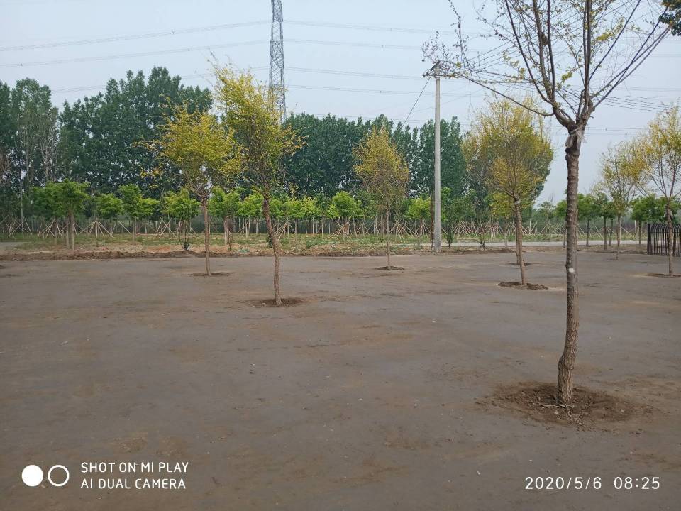 新疆 泥浆固化剂 新疆流态固化土施工安全优惠