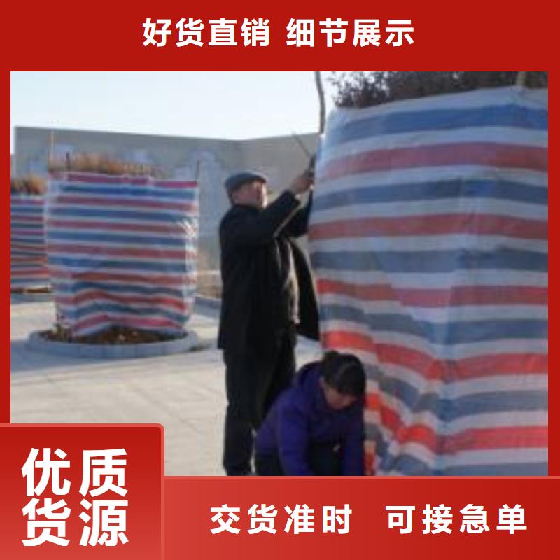 潍坊专业销售10x30彩条布厂家
