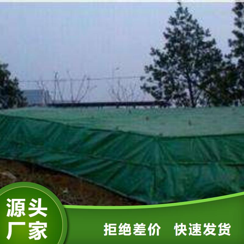 树木防寒布怎么使用
