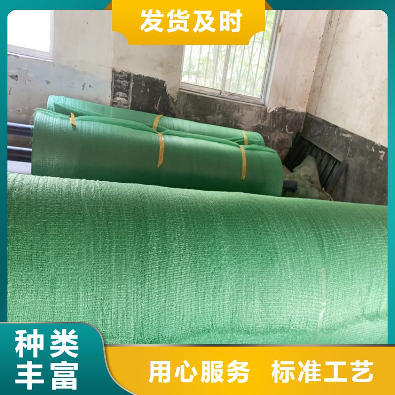 绿色盖土网生产厂家
