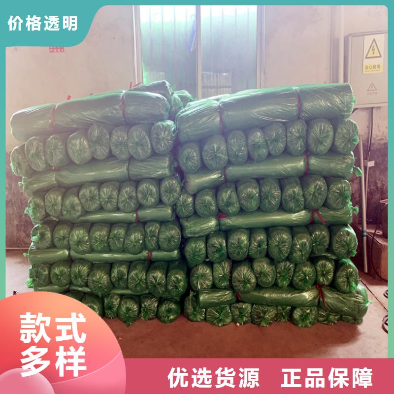 绿色盖土网生产厂家