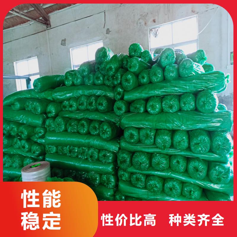 绿色盖土网生产厂家