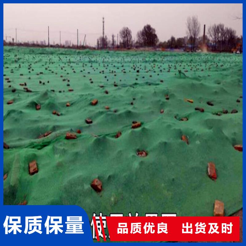 盖土防尘网现货交易