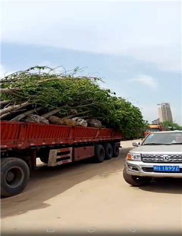 多年专注129生产的青海厂家