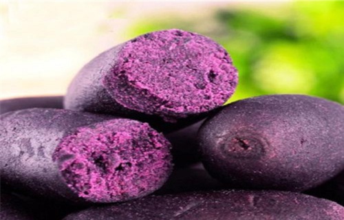 上海紫薯熟丁杂粮特价精选