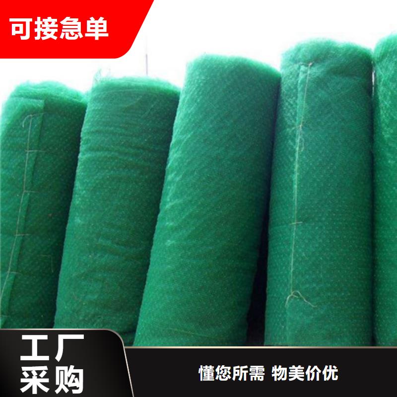 EM3三维植被网来厂考察
