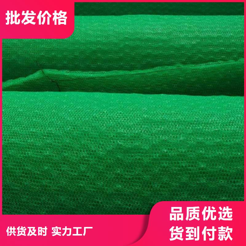 EM5三维植被网厂家价格
