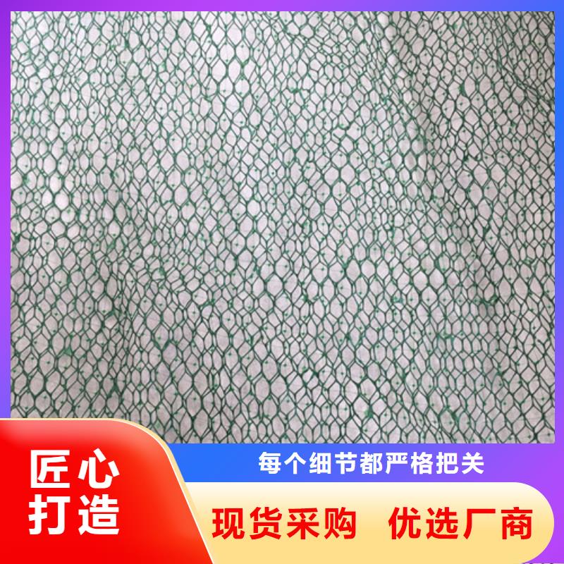 土工网垫现货即发