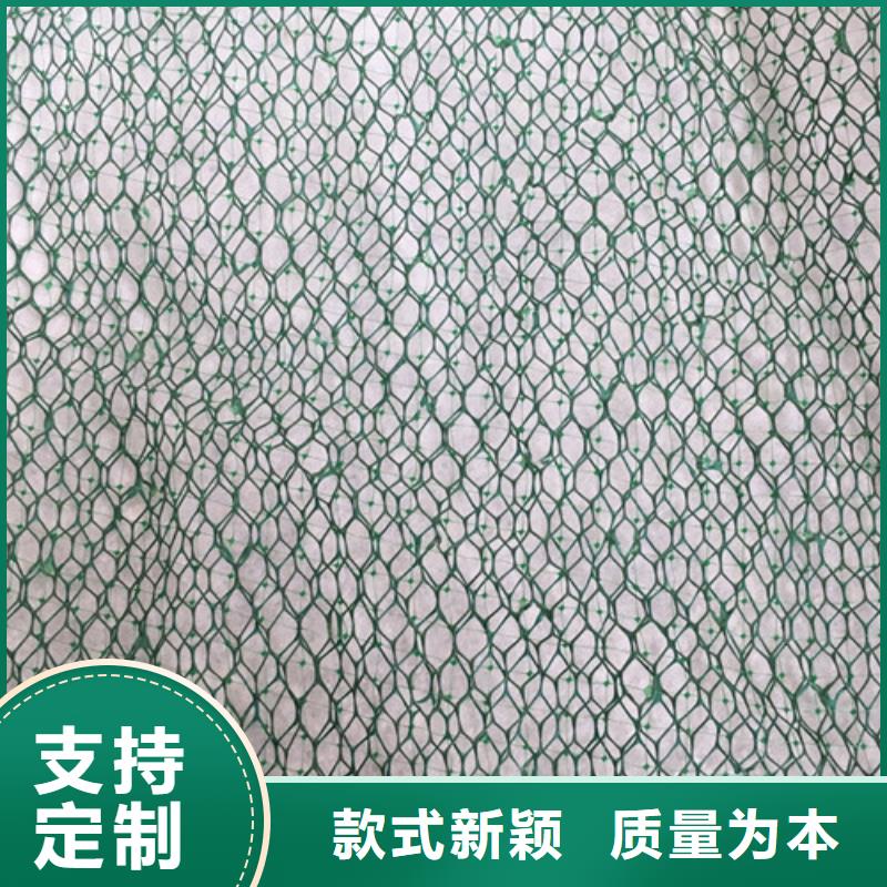 土工网垫生产厂家