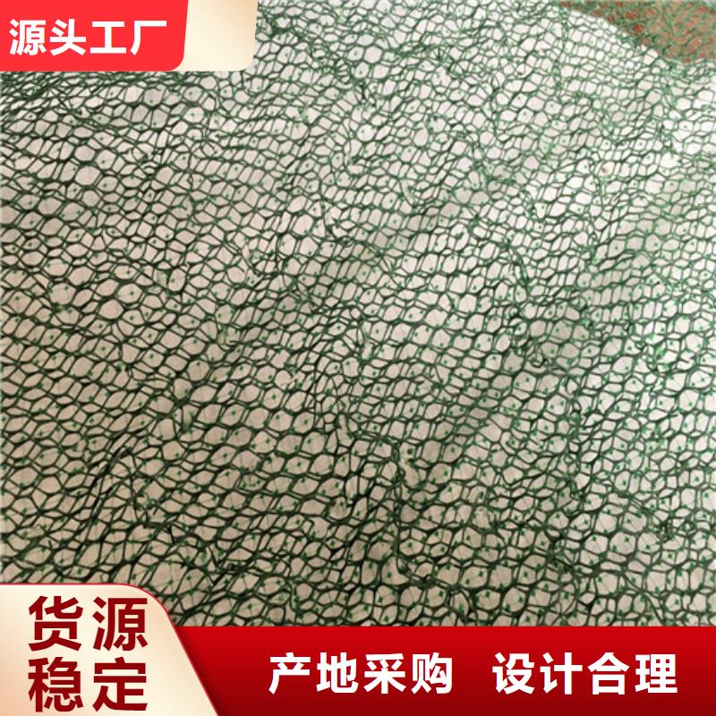 CE151土工网供应商
