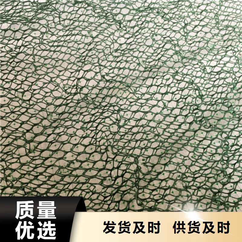 EM3三维植被网生产厂家