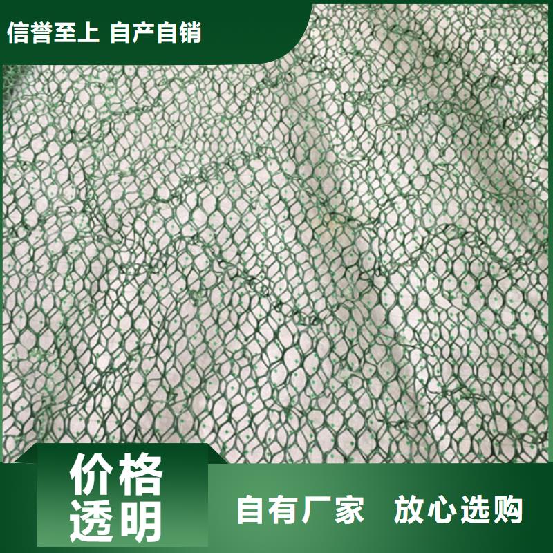 EM3三维植被网来厂考察
