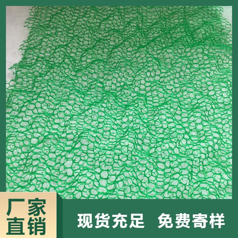 CE131土工网生产厂家