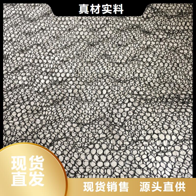 塑料三维土工网垫供应商