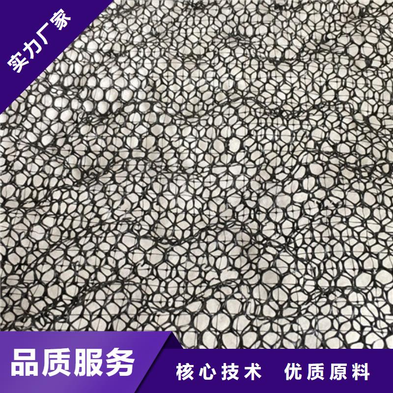 三维土工网垫现货即发