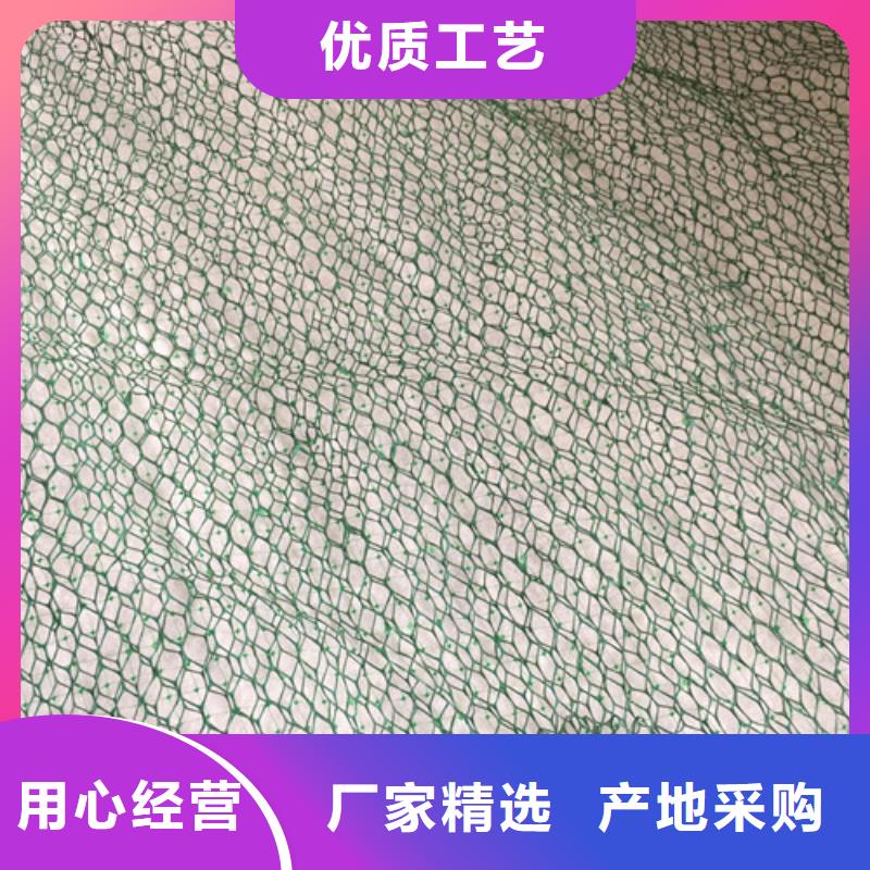 EM3三维植被网生产厂家