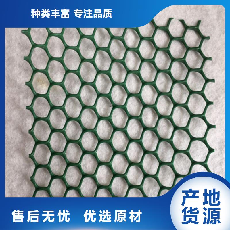 三维植被网护坡生产厂家