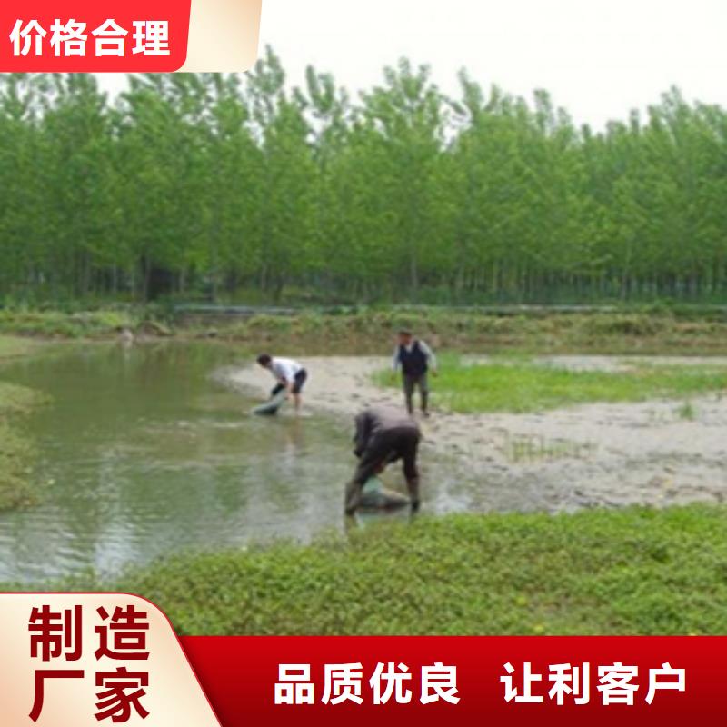 小龙虾苗价格（小龙虾苗价格）欢迎实地考察当地生产商