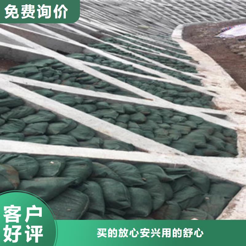 无纺布生态袋宣城报价