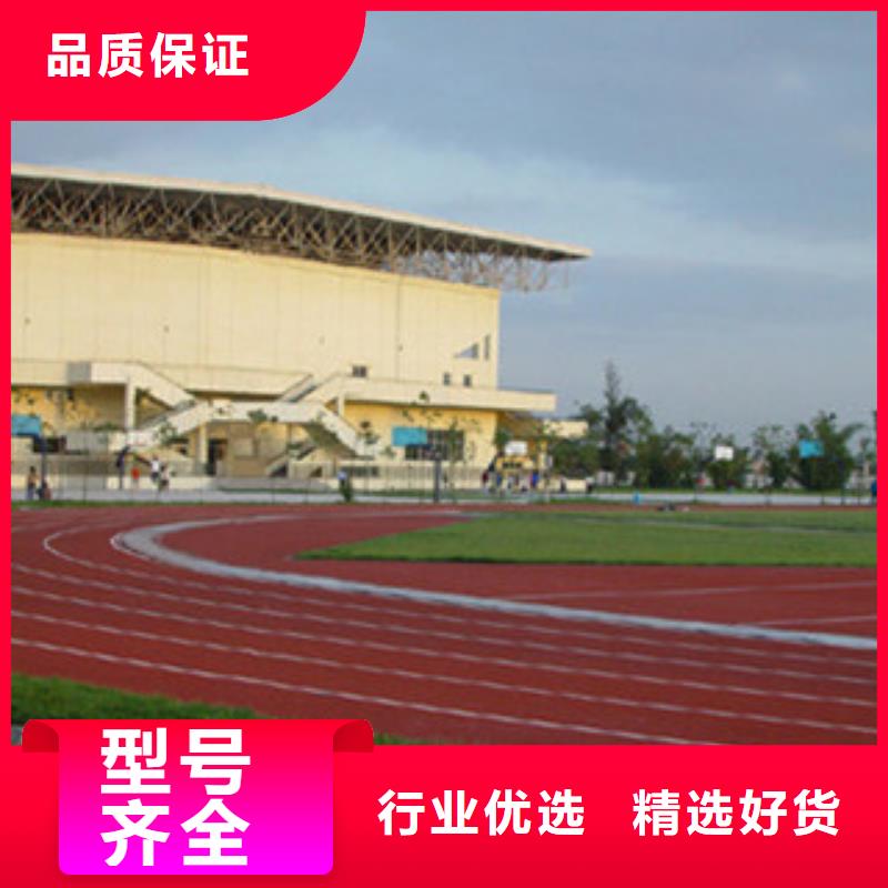 濮阳市台前混合型塑胶跑道运动场改造