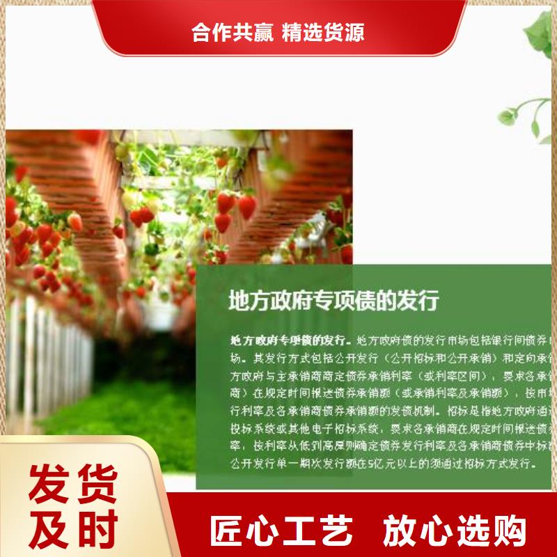 政府专项债报告_解放专项债券银行对接