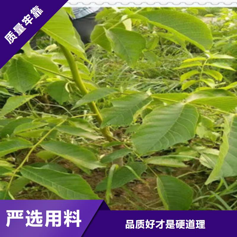 0.9厘米种植方法