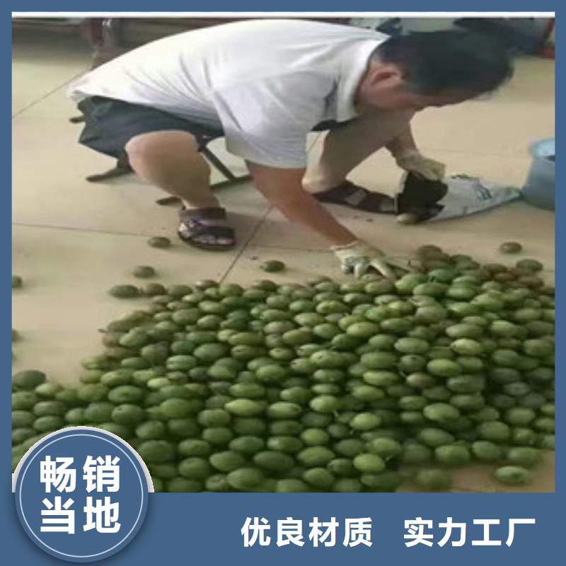 8厘米专业合作社