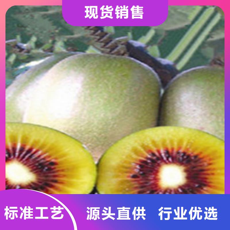 秦美猕猴桃苗80公分