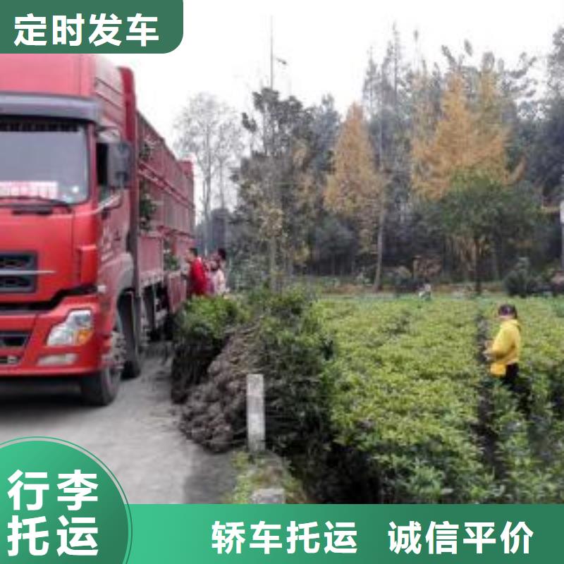 桐乡到兰州物流公司零担整车