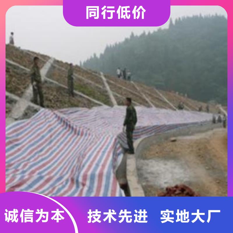 许昌用户喜爱的防水熟料彩条布生产厂家
