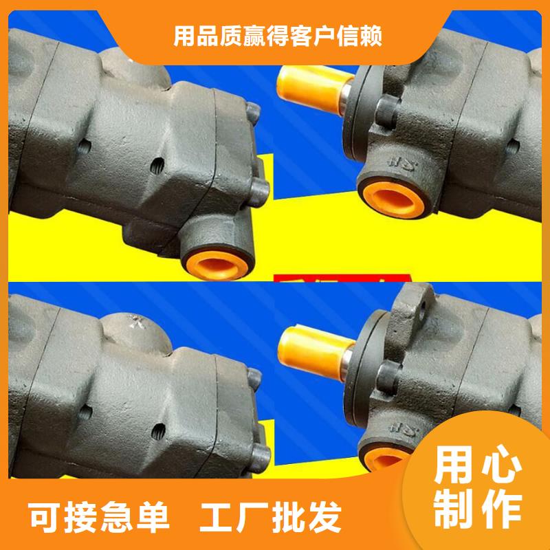 20V4A-86A22R叶片泵新闻可诚信为本