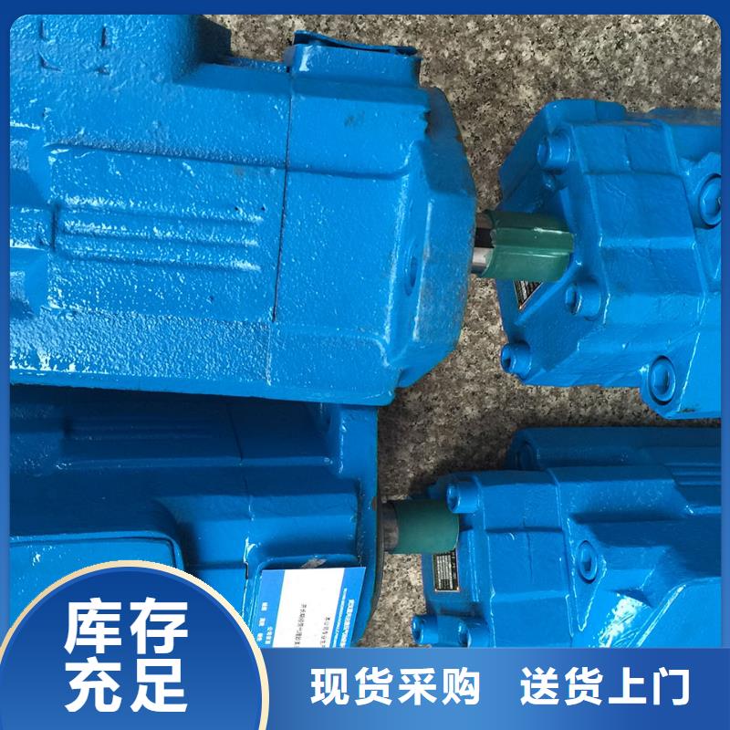 35V35A-86C22R叶片泵新闻可当地品牌